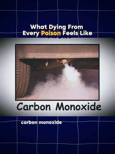 What Dying From Every Poison Feels Like: A Story Explained