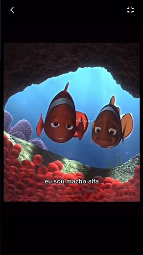 Procurando nemo parte 1 #peixe #procurandonemo #nemo #desenho #aquarista #pesca #aquario #marinho