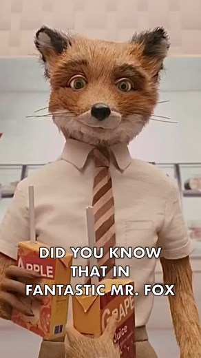 Fantastic Mr. Fox Movie Details and Memes