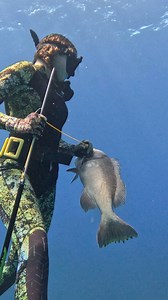 Expert Underwater Spearfishing Girl! #spearfishing #fishing | Ryan Myers