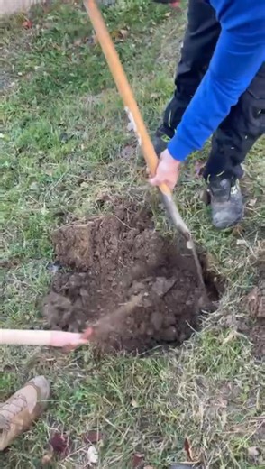 Danke an Team Bürgermeister Helmut Berger für die Nominierung, aber mit der Jause wirds nichts 😉. Wir nominieren@Leiding singt Die Sauterner Fachzentrum Klaus-Jürgen Meixner / GEA Farm Technologies. Eine Woche habt ihr Zeit einen Baum zu pflanzen 🌲, ansonsten freuen wir uns über eine Jause☺️ | Dorfgemeinschaft Inzenhof