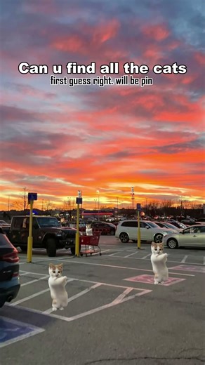 CAN u find all the CATs #brainchallenge #findtheduck