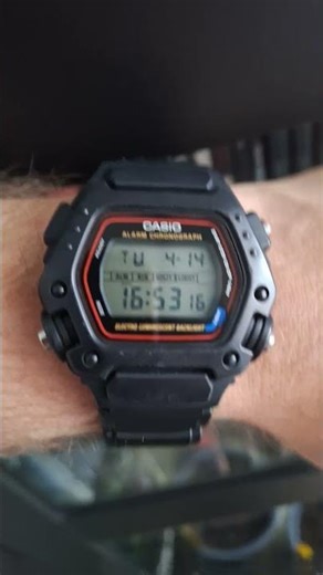 Casio DW-290 Light
