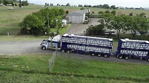 This week Steve Godsell took delivery of this 5 deck Road Train unit, we would like to take this opportunity to thank Steve for his continued business. This unit was built to a similar spec to his 6 deck unit we built in 2021, with the additions of air operated effluent tanks & RT sliding rear doors to name a few. | Cannon Trailers