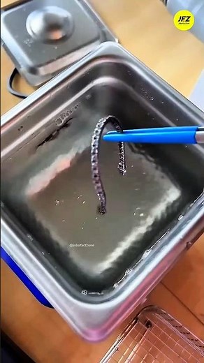 This Is How Ultrasonic Cleaning Works