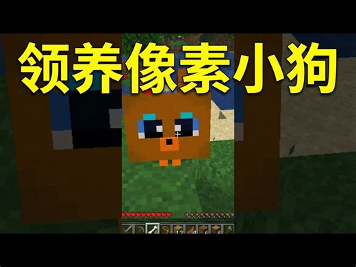 【中配】在我的世界Mod中领养一只独一无二的可爱小狗 - Dodo Kids