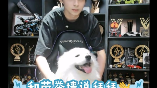 【JDE.Paraboy】和荣誉墙告别！希望未来能够见证更多荣誉的诞生！未来可期~