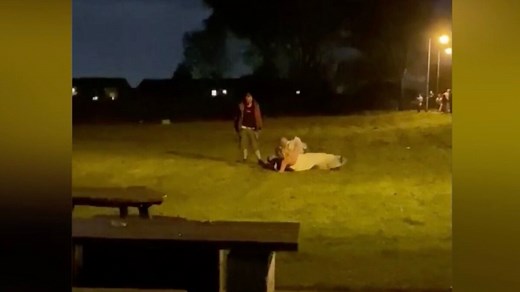 Wedding descends into complete chaos as bride brawls in field (VIDEO)