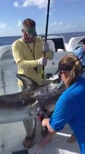 If you plan on fishing with Capt. Nick Stanczyk on his brand new Freeman 37VH out of Bud N' Mary's Marina you better eat your Wheaties! | Freeman Boatworks