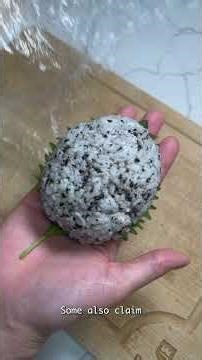 Let's Make Totoro Bento! #ghibli #studioghibli #totoro #anime #bento #viral #art #shortsfeed #shorts