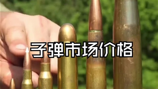 老美市面上的子弹价格盘点