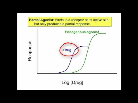 Agonist, Antagonist, Partial Agonist, Inverse Agonist