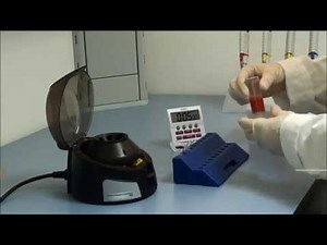 RiboFlow Tutorial Protocol with Extraction step