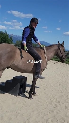 Training Horses: Building Trust Through Motion We explore horse training, focusing on acceptance of the trainer and the horse's movement. The core question is, can we build trust through motion and connection? Our aim is to cultivate a safe and accepting relationship. #HorseTraining #EquineBehavior #HorsebackRiding #AnimalTraining #Horsemanship #HorseCare #Equestrian #HorseLife #TrustBuilding #AnimalCommunication