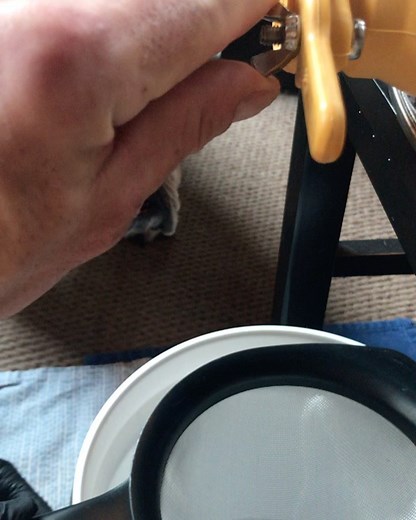 Anson Mount on Instagram: "Honey harvest time. Betty Lou trying to get in on the action."