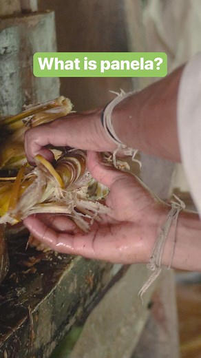 Here's the process of how to make panela, a type of unrefined raw sugar. #Panela #Sugar #Colombia | Insider Food