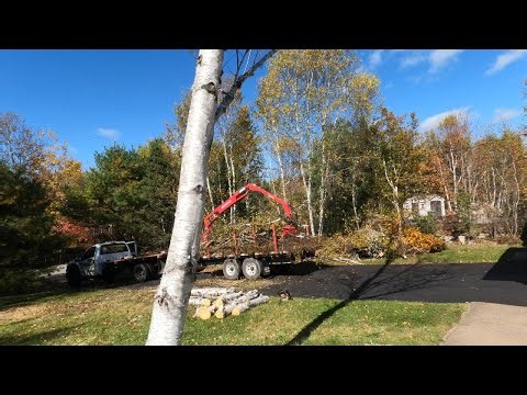 First day with the Metavic loader. #logloader #treeremoval