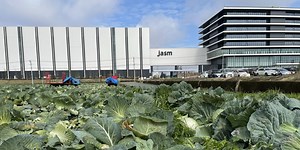 A Tale of Two Chip Plants: Delayed in U.S., on Time in Japan