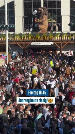 Einiges los heute auf derTheresienwiese! 🤯