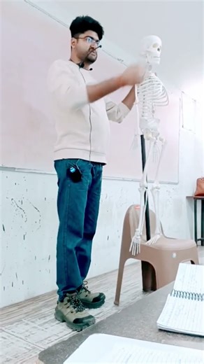 introduction of joints and bones.