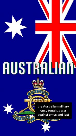 The great emu war of 1932 #worldhistory #militaryhistory | Absolute History | Facebook