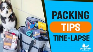Watch Packing Tips ﹙Time-lapse Version﹚ on Amazon Live