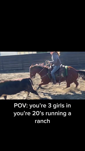 Barn Bloopers: Hilarious Moments on the Ranch