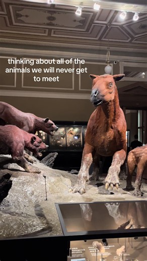 Ice Age Animals We’ll Never Meet: A Paleontology Reflection