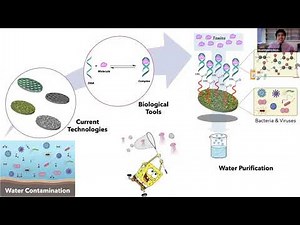 2021 Three-Minute Thesis (3MT) Competition Winner | Misael Romero-Reyes
