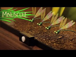 Minuscule - Night Of The Mandibles Teaser - special Halloween (available on October 31st!)