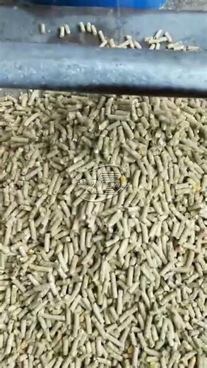 small feeding pellet machine. #farming#granulator #machine