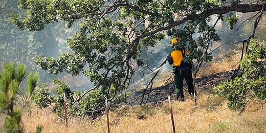 49 homes destroyed by Rowena Fire, evacuation orders remain in effect