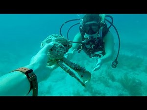 SCUBA DIVING THE FLORIDA KEYS!