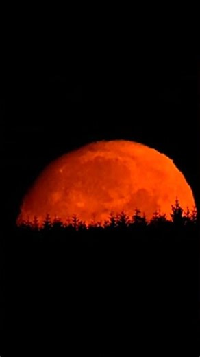 Space Ambient 4K - Lunar Landscape | Alien Soundscape #shorts