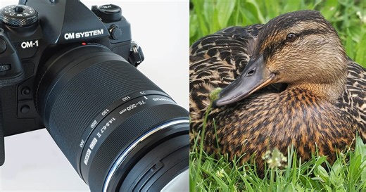 Advances in Digital Zoom Technology Breathe New Life into Shorter Lenses