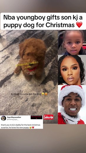 Nba youngboy gifts son kj a puppy dog for Christmas ❤️ #nbayoungboy #moneyyaya #yayamayweather #floydmayweather
