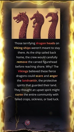 Why Vikings Removed The Dragon Heads From Their Ships?