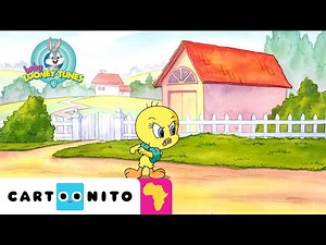 Tiny Tweety | Baby Looney Tunes l Cartoonito Africa