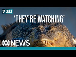 Kakadu ranger concerned risky behaviour is increasing danger of crocodile attack | 7.30