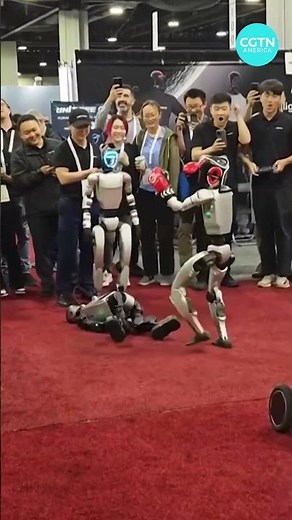 China hosts first humanoid robot boxing match