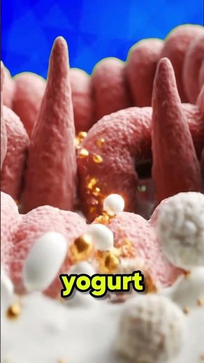 The Science of Vanilla Greek Yogurt: Probiotics, Muscle Synthesis, and Metabolic Satiety