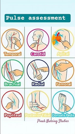 Pulse assessment | Site