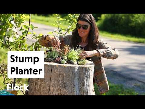 We Turned This TREE STUMP into a RUSTIC PLANTER — Ep. 377