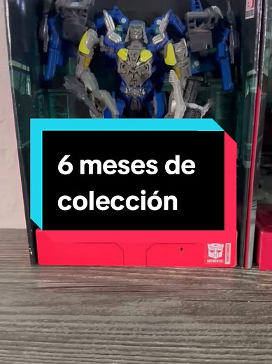 Mi colección en 6 meses que regrese con los transformers #coleccion #studioseriestransformers #bumblebee #cliffjumpertransformers #autobots #decepticons #coleccionismo #coleccionismo #transformersfigures #optimusprime #bayverse #fyp