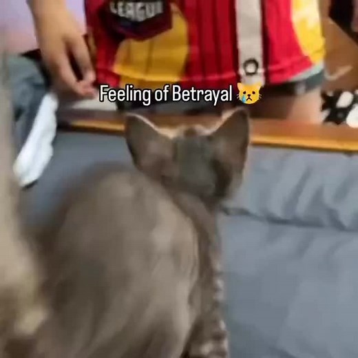 1.6K reactions · 6 comments | Touching grass—literally or...