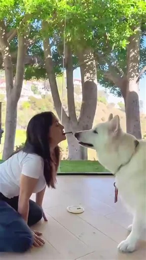 selma hayek (@selma.hayek26)’s videos with original sound - selma hayek