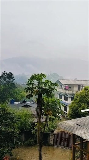 Refresh your mind🐦🌧️#nature