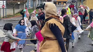 3.8K views · 256 reactions | Just witnessed this brilliant carnival...