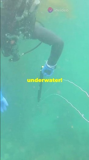 What Happens When A Bullet Meets WATER?