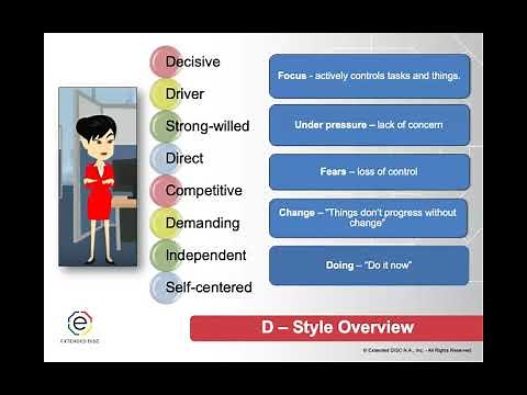 D-styles Overview
